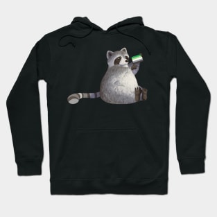 Aromantic Pride Raccoon Hoodie